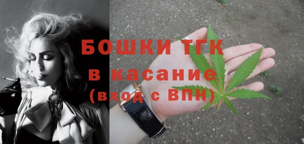 прущие грибы Аркадак