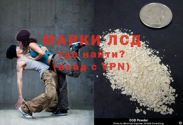 прущие грибы Аркадак