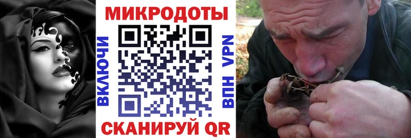 магазин  наркотиков  Кыштым  Псилоцибиновые грибы Psilocybine cubensis 